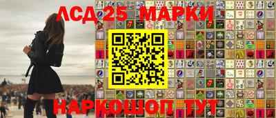 гидропоника Гатчина