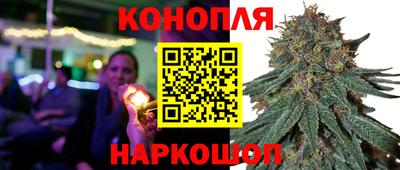 гидропоника Гай