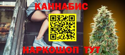 гидропоника Гатчина