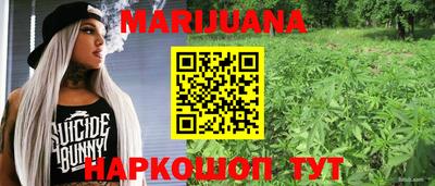 гидропоника Гатчина