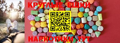 гидропоника Гатчина