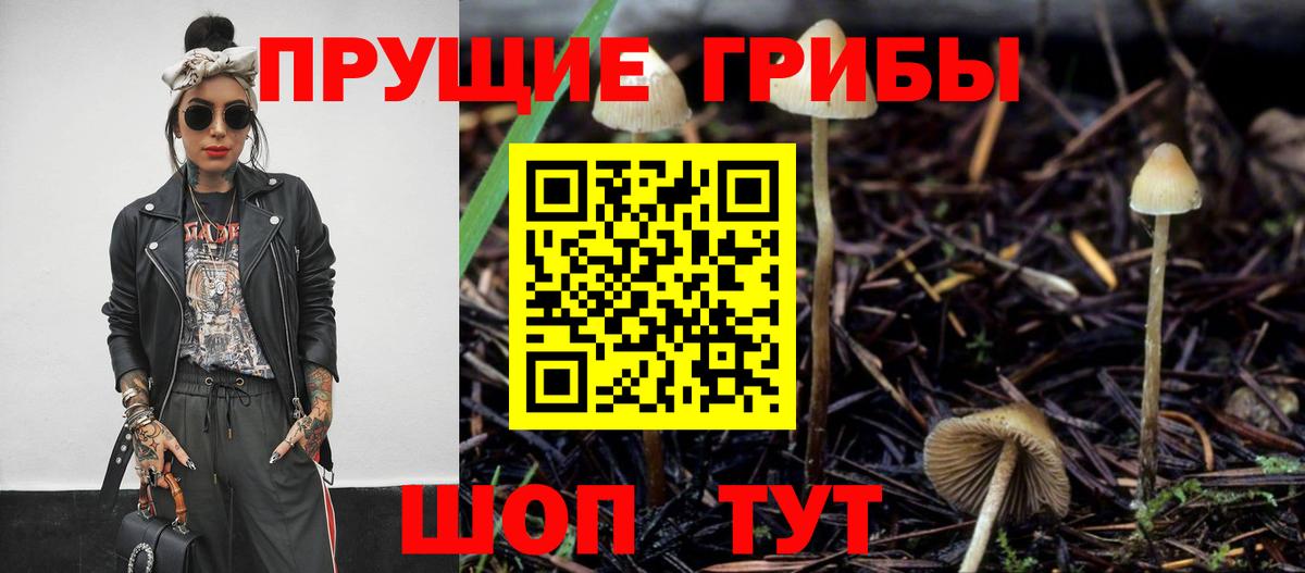 Галлюциногенные грибы мицелий  Вход с VPN  Галлюциногенные грибы Cubensis  Горячий Ключ 